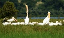 我的家乡宁夏川
