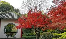 中山公园真美丽