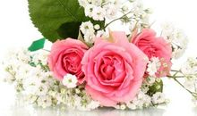 生命因你而如此美丽