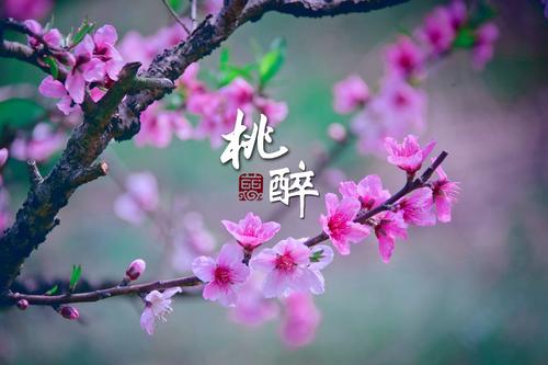 擦你的眼睛