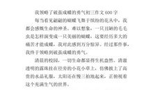 我领略了破茧成蝶的勇气