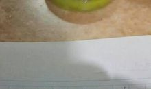 耳边的声音作文