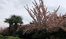 相信自己走的路