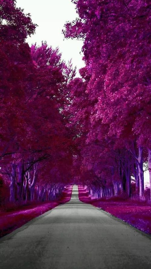 一路上