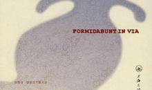 不再彷徨，只顾风雨兼程