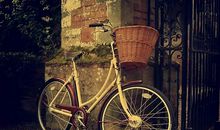 卑微的青春并不悲凉