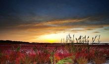 离别季里数流年