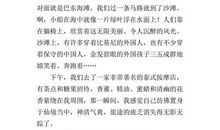 放弃也是一种美作文600字