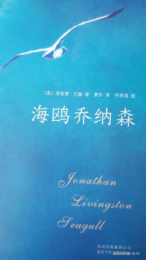 阅读“海鸥乔纳森”
