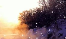 冬天来了，春天还会远吗？