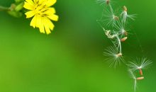 昆虫也是有生命的