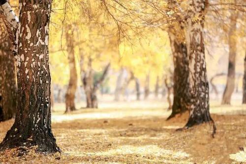 这一生，见到你并不后悔