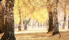 此生，遇你无憾