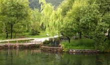 毛毛虫的美丽人生