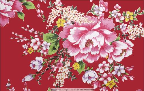 鲜花在梦想的边缘