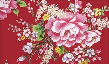 花开在梦的边缘