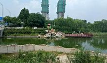 森林城市生态潍坊