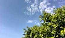 春天里的一束阳光