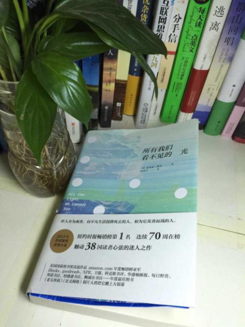 黑暗中的一堆光 - 阅读“我们所有的我看不到光明”