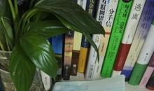 黑暗中的那束光——读《所有我们看不见的光》有感