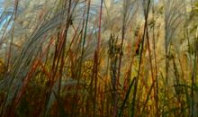 走进秋天的田野