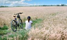 我在自己的世界里，苟延残喘