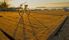 坦然也是一种美