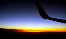 永不褪色的生命