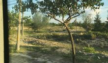 窗外，大自然的美