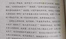 以“00后”为话题作文