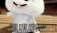 20岁的你，至少应该知道你想要什么