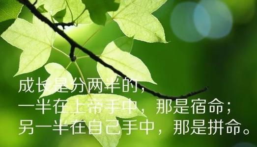 适合自己