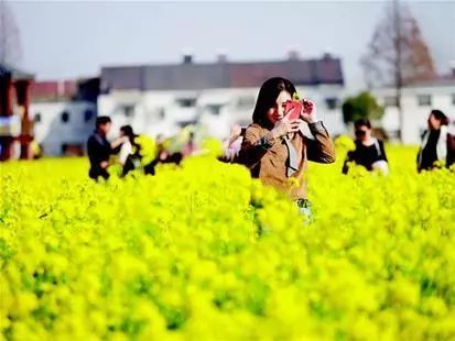 武汉春季之旅