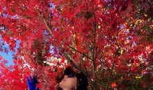 那抹神圣的红色