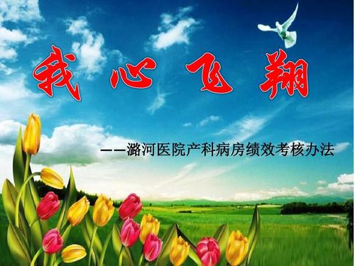 我的心中飞了高中作品