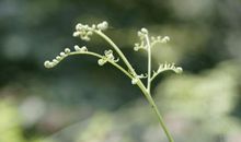 记忆深处流淌的温馨