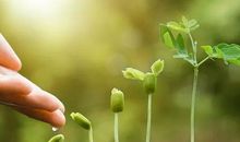 帮助别人其实是一种幸福