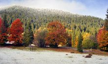 那场下在深秋的雨