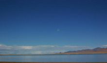 自然的诱惑——读《阳光与荒原的诱惑》有感