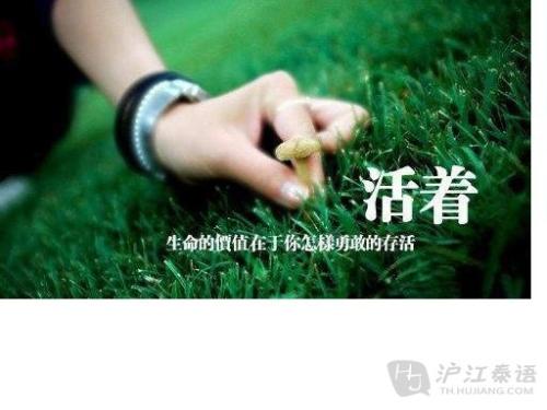 生活的价值来自你自己
