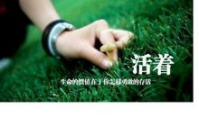 生命的价值源于自己