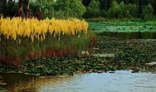 春到大洞山公园