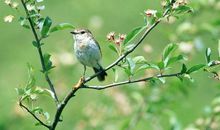 感受生活的挫折