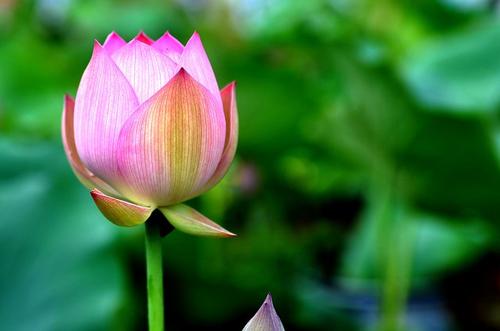 前三个也是一种享受