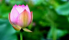 初三也是一种享受