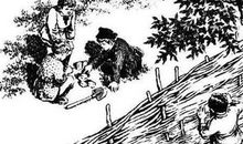 内心的净土——《童年》读后感