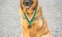 属于这世界的感动