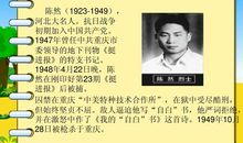 我的自白书读后感