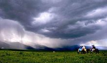 生活因“雨”更精彩