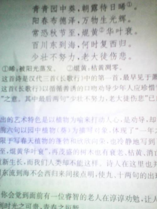 四作为主题组成